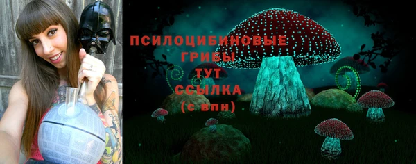 круглые Белокуриха